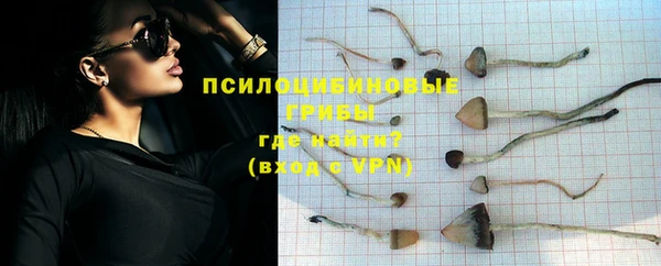 кокс Алзамай
