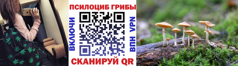 Псилоцибиновые грибы ЛСД Саранск
