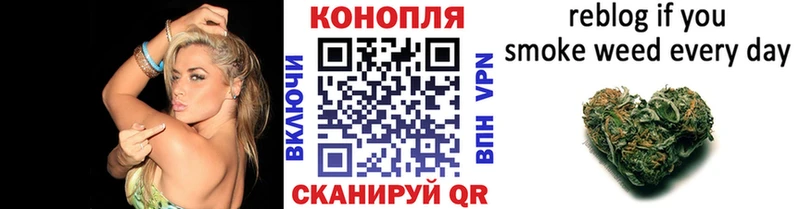 Бошки Шишки AK-47  Саранск 